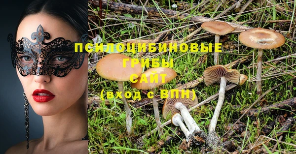 соль ск Белокуриха