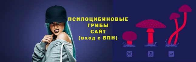 соль ск Белокуриха