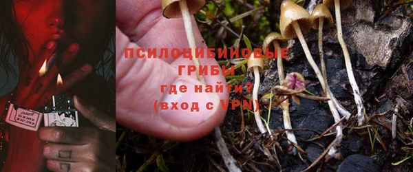 марки nbome Беломорск