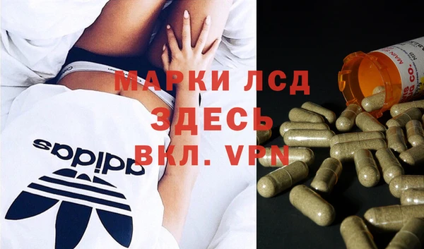 соль ск Белокуриха